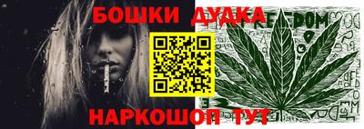 МДПВ Будённовск