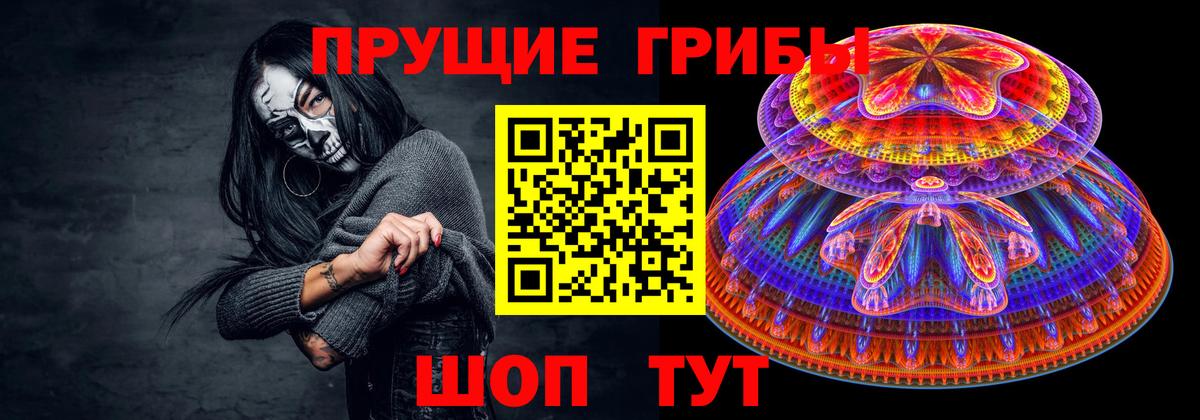 Галлюциногенные грибы Psilocybe Мичуринск