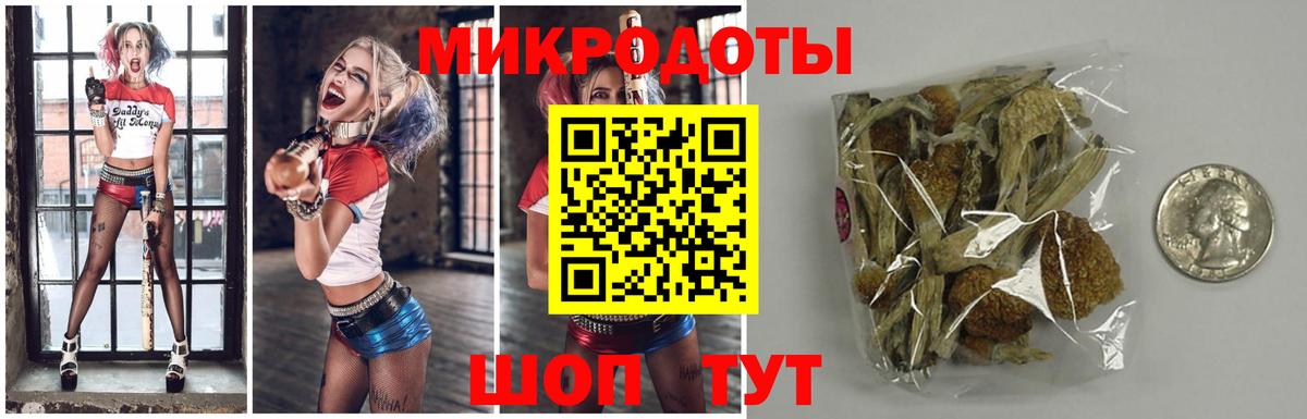Мичуринск  Псилоцибиновые грибы прущие грибы  закладки  Вход с VPN  Псилоцибиновые грибы GOLDEN TEACHER 